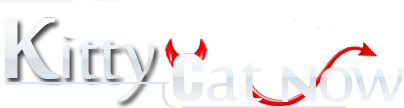 Kitty Cat Now Las Vegas Kitty Cat Now Chicago