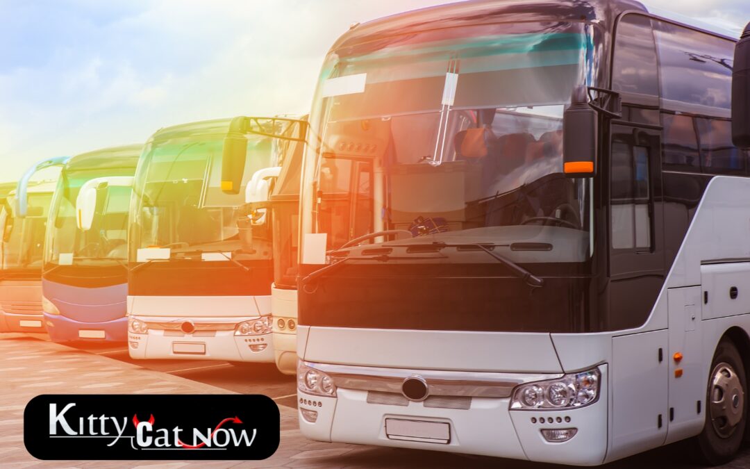 Strippers on Party buses In Las Vegas