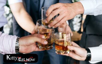 Planning a Bachelor Party in Las Vegas? Let Kitty Cat Now Handle It All!