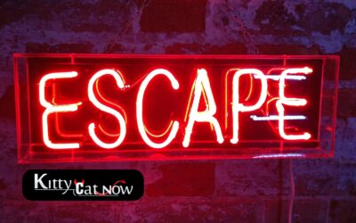 Escape the Ordinary: How to Throw a Bachelor Party He’ll Never Forget in  Las Vegas