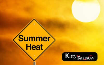 How to Heat Up Your Summer Parties with Exotic Dancers in Las Vegas