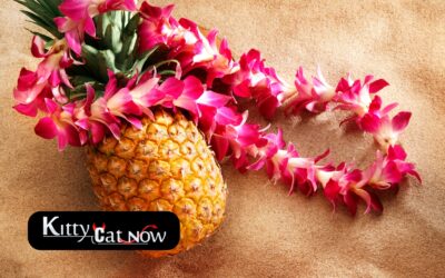 Top 5 Summer Party Themes with Strippers In Las Vegas