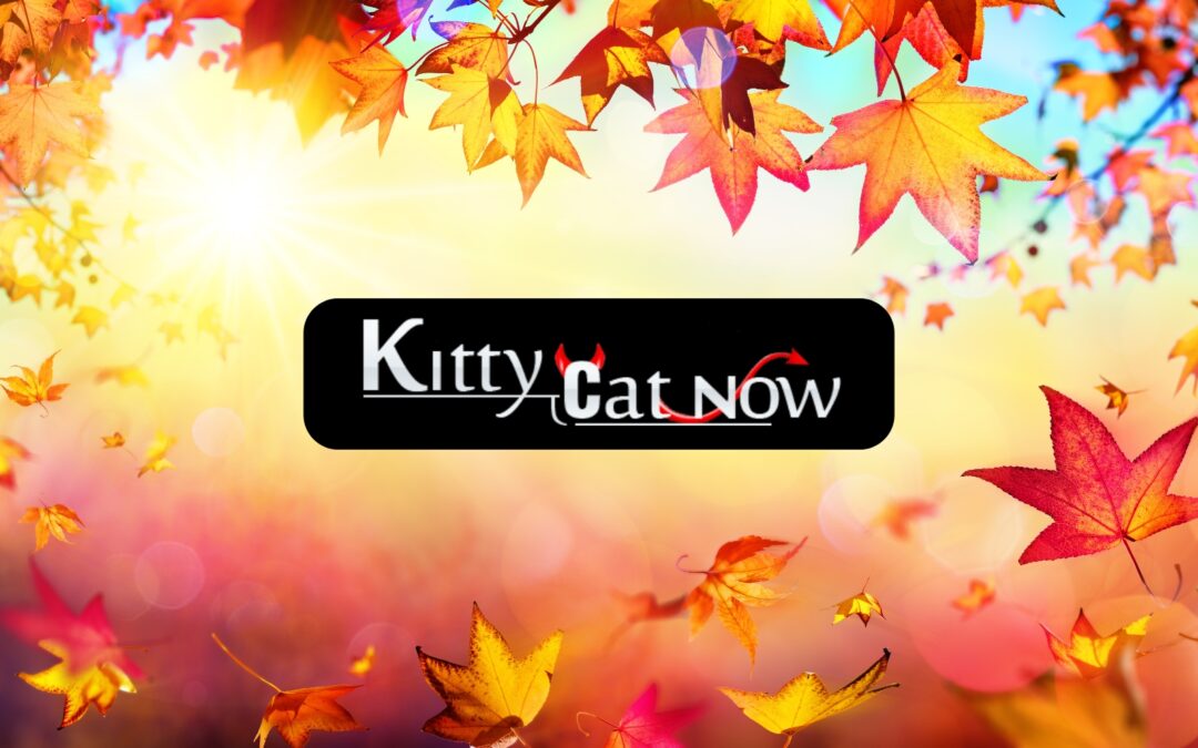 Why Fall Is the Best Season for Bachelor & Bachelorette Parties in Las Vegas