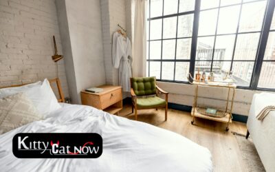 Planning a Private Airbnb Party with Strippers in Las Vegas