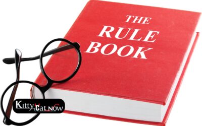 Bachelor Party House Rules in Las Vegas Before the Strippers Arrive