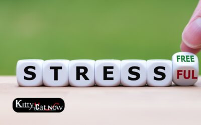 Hosting Private Party Entertainment at Home in Las Vegas: A Stress-Free Guide