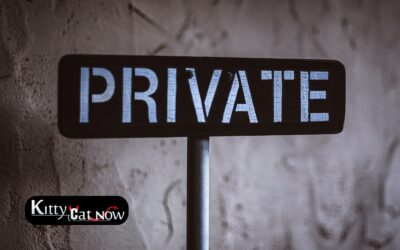 Why Private Party Entertainment Beats the Club Scene in Las Vegas