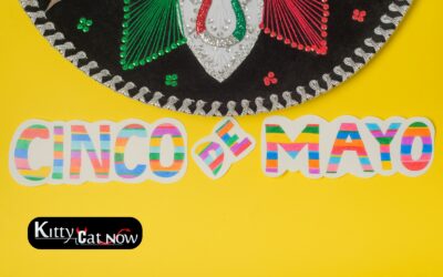 Cinco de Mayo Party Ideas in Las Vegas: Tacos, Tequila & Private Strippers