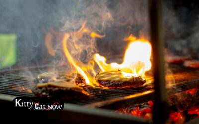 Memorial Day Party Ideas in Las Vegas: BBQ, Private Entertainment & VIP Vibes