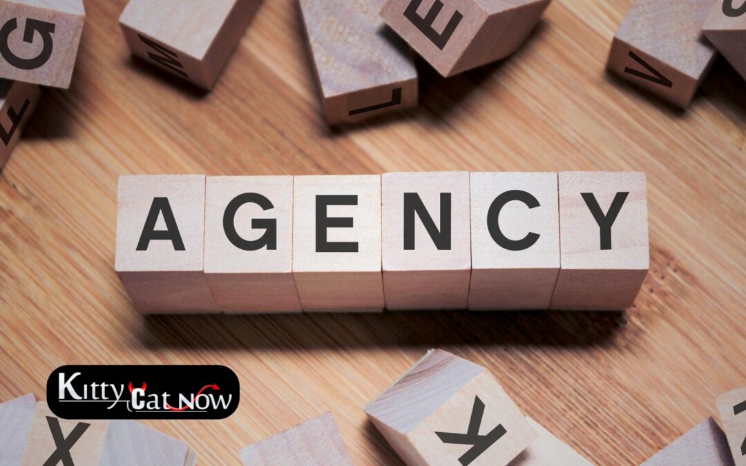 How to Choose a Legit Stripper Agency in Las Vegas