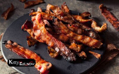 Boobs & Bacon in Las Vegas: The Ultimate Sunday Morning Bachelor Party Experience