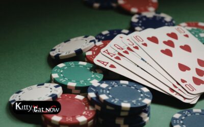 Poker Night Upgrade: Private Entertainment for Your Las Vegas Home Game