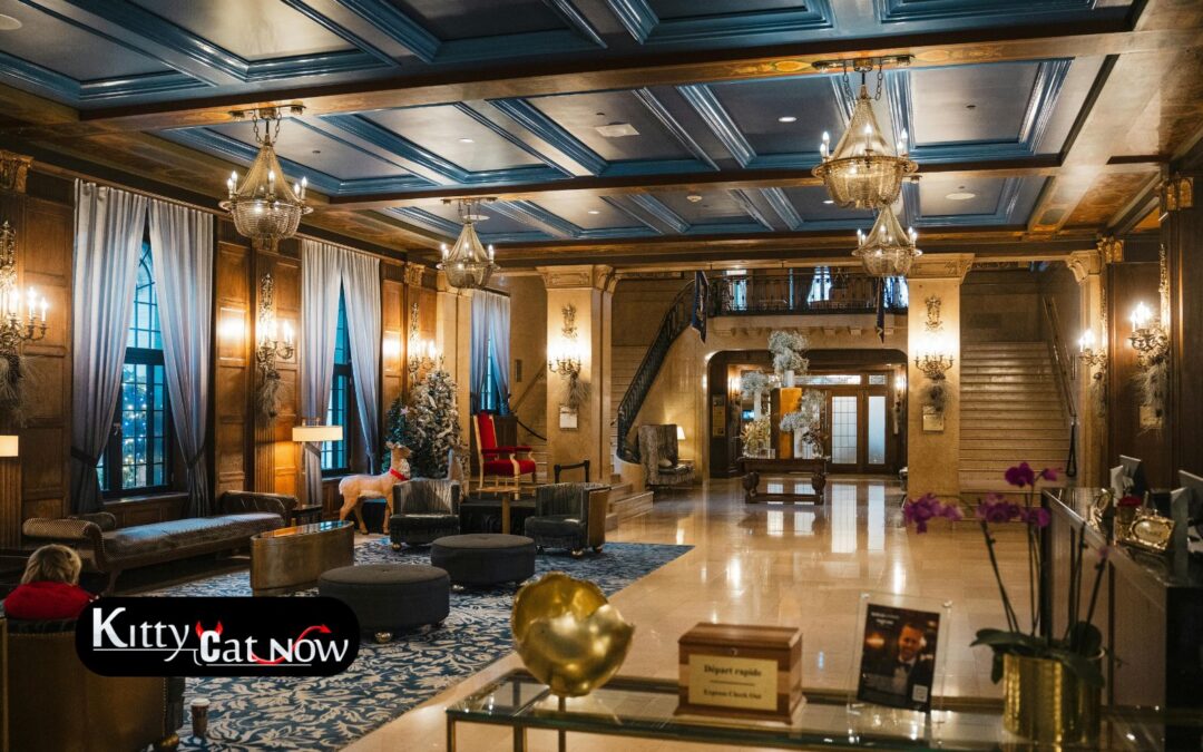 Hotel Suite vs. House Rental: Where to Host Your Las Vegas Bachelor Party