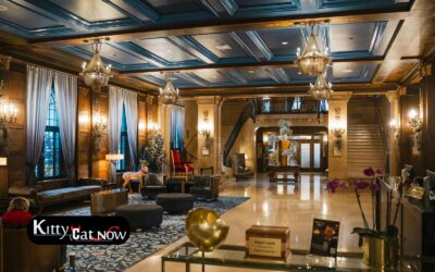 Hotel Suite vs. House Rental: Where to Host Your Las Vegas Bachelor Party